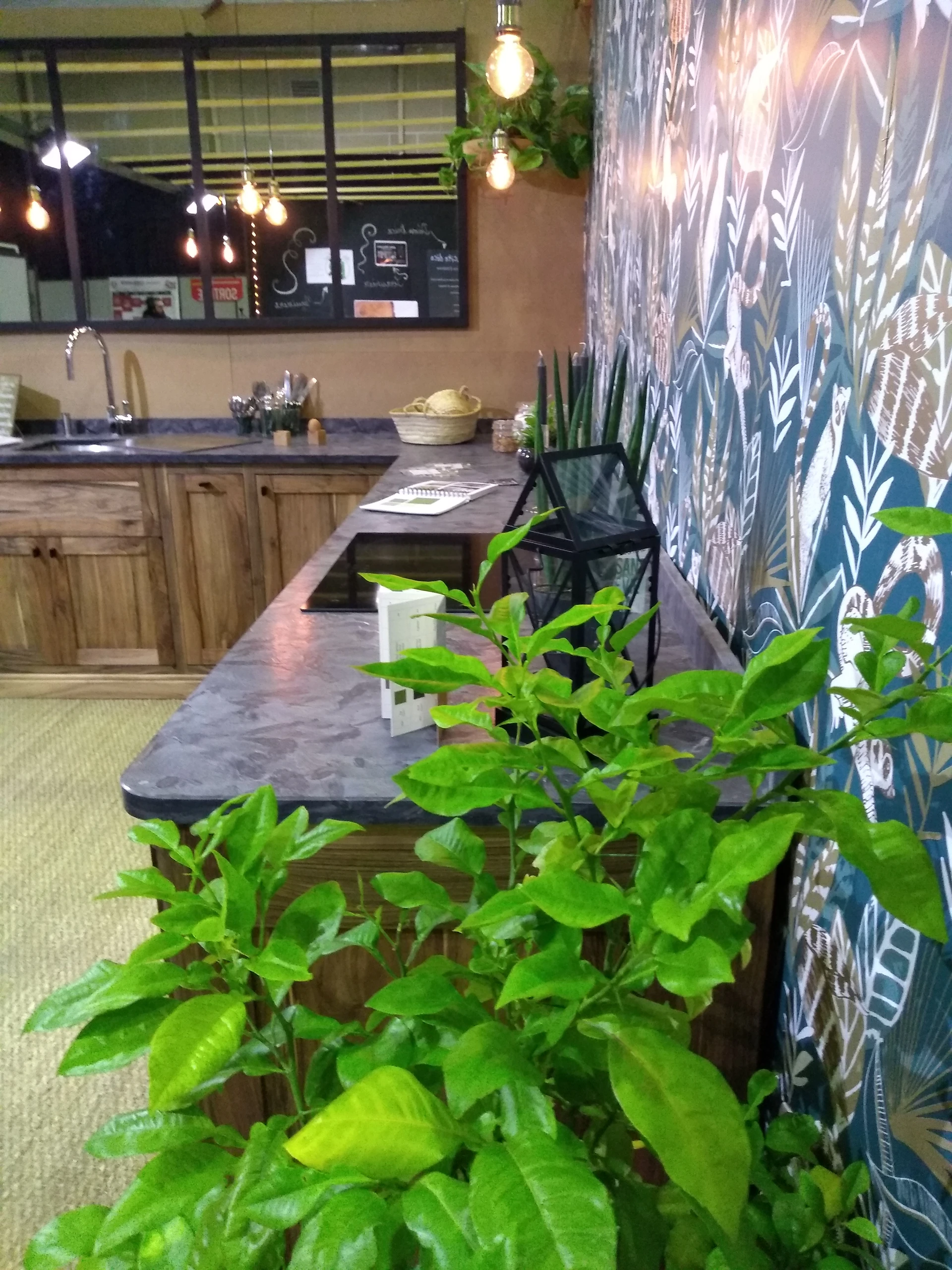 Cuisine chêne massif salon du vin Cuisine chêne massif salon du vin